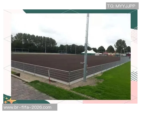 通过足球锻炼提升身体素质与团队协作能力的全面指南